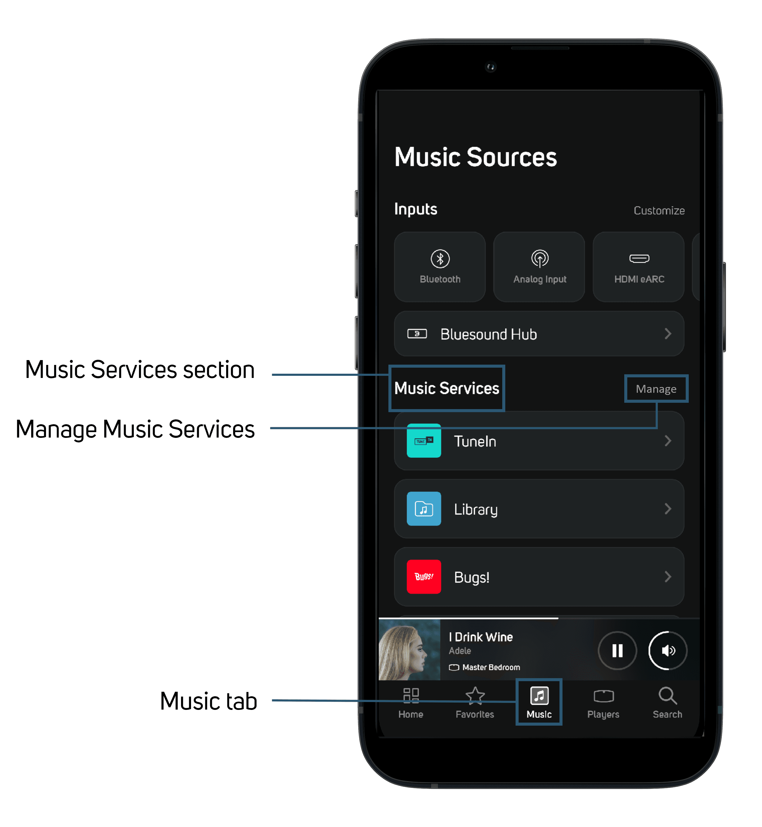 BluOS Controller Music screen with Music, Music Services, and Manage highlighted